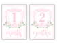 Girl Milestone Cards