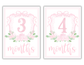 Girl Milestone Cards