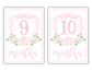 Girl Milestone Cards