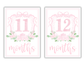 Girl Milestone Cards